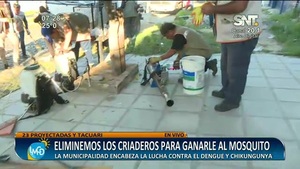 Eliminemos los criaderos para ganarle al mosquito - SNT