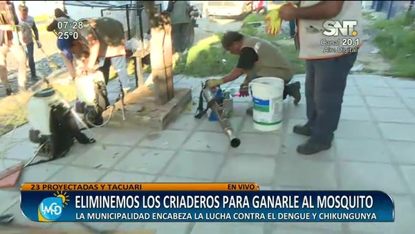 Eliminemos los criaderos para ganarle al mosquito - SNT