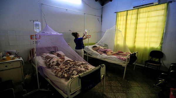 Un 50% de todos los casos analizados en el Laboratorio Central corresponden a chikungunya | OnLivePy