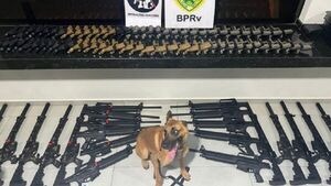 Incautan en Brasil armas ocultas en cargamento paraguayo de arroz