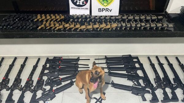 Incautan en Brasil armas ocultas en cargamento paraguayo de arroz