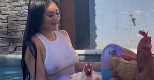 ¡Apenami! Así se refrescan las gallinas de Laurys Dyva