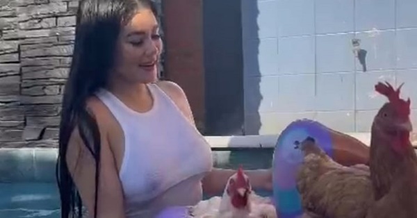 ¡Apenami! Así se refrescan las gallinas de Laurys Dyva