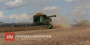 ZAFRA SOJERA SE ENCUENTRA EN ETAPA DECISIVA Y DEPENDE DE LAS PRÓXIMAS LLUVIAS - Itapúa Noticias