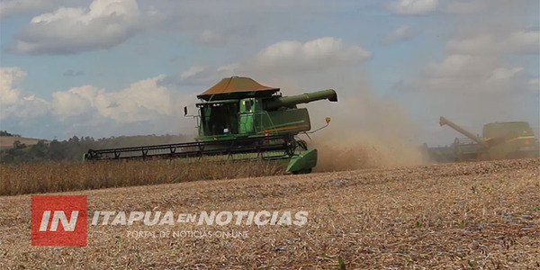 ZAFRA SOJERA SE ENCUENTRA EN ETAPA DECISIVA Y DEPENDE DE LAS PRÓXIMAS LLUVIAS - Itapúa Noticias