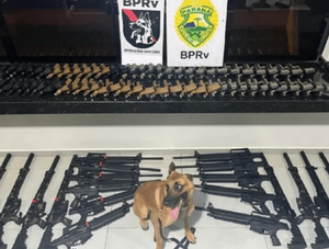 Policía brasileña incauta 160 armas en cargamento paraguayo de arroz · Radio Monumental 1080 AM