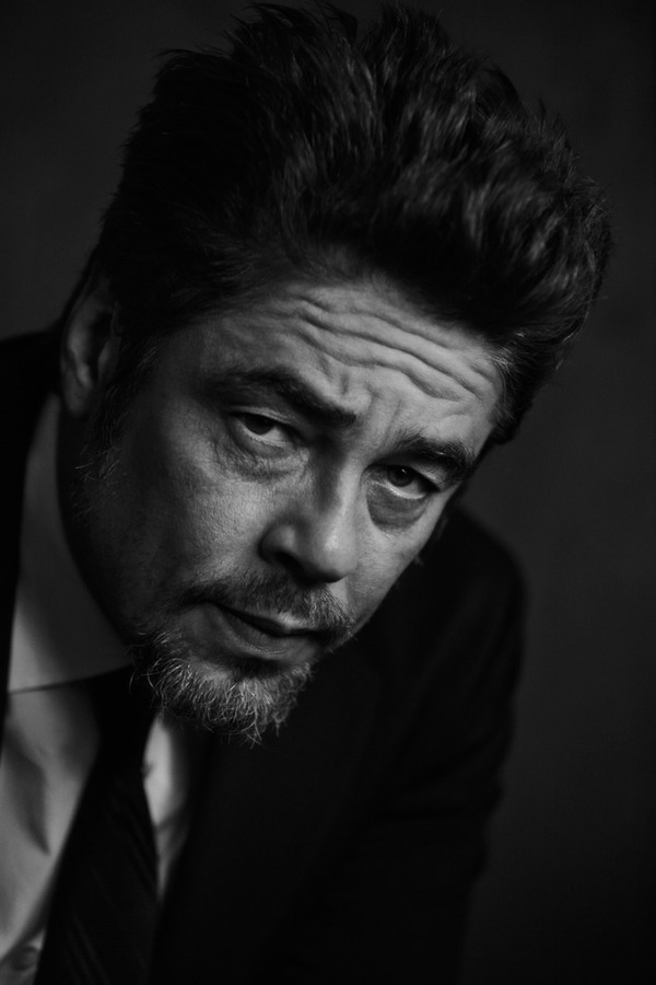 ¡Benicio del Toro recibirá el galardón honorífico en los Premios Platino! - trece