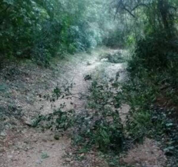 Pobladores de un barrio de Paraguarí denuncian que están aislados por culpa de una vecina