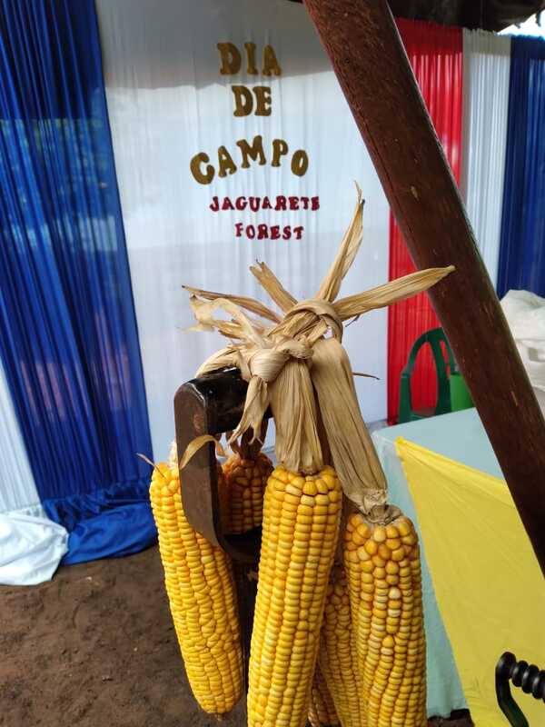 En jornada técnica, productores de Yaguareté Forest muestran el desarrollo del agro | Agronegocios | 5Días