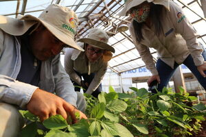 Inbio avanza en la colocación de Sojapar en Brasil