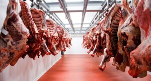 Exportaciones de carne registraron un aumento del 11,3%