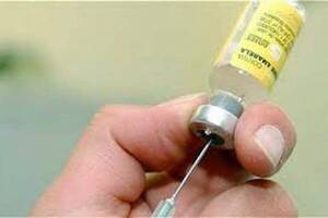 Llegaron 150.000 vacunas contra la fiebre amarilla