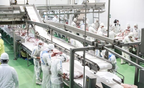 Paraguay envía primeros contenedores con carne porcina a Taiwán