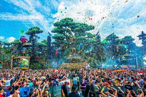 Todo lo que tenes que saber sobre el Tomorrowland 2023