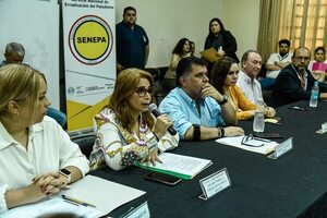 Chikunguña: Paraguay alcanzaría punto crítico en febrero - Nacionales - ABC Color