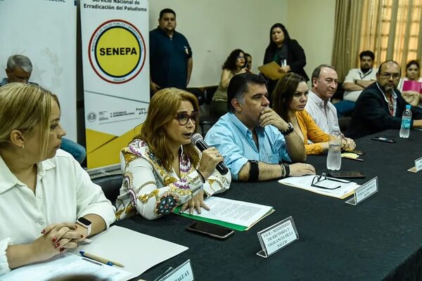 Chikunguña: Paraguay alcanzaría punto crítico en febrero - Nacionales - ABC Color