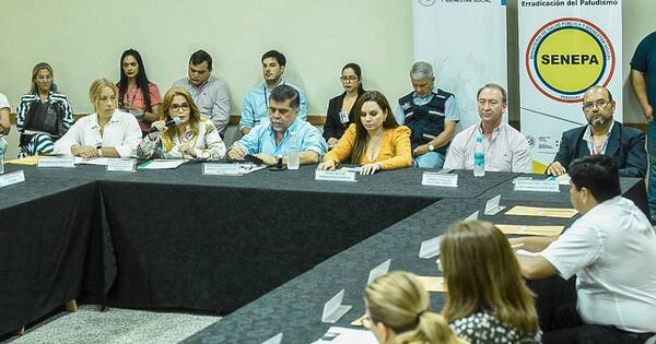 La Nación / Chikungunya: Salud insta a trabajar de manera colectiva entre municipios de Central