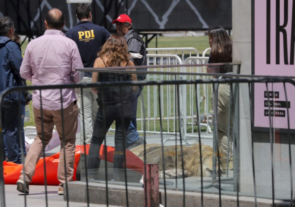 Diario HOY | Dejan un león muerto en el exterior del palacio presidencial de Chile