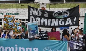 Chile cita a embajador argentino tras dichos por rechazo a proyecto minero - Mundo - ABC Color
