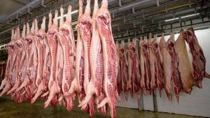 Diario HOY | Envían primeros contenedores con carne porcina paraguaya a Taiwán