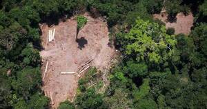 La Nación / Lula inicia operaciones contra la deforestación