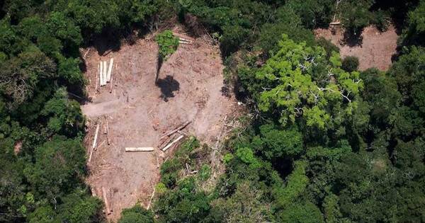 La Nación / Lula inicia operaciones contra la deforestación