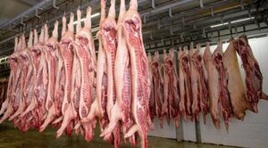 Envían primeros contenedores con carne porcina paraguaya a Taiwán