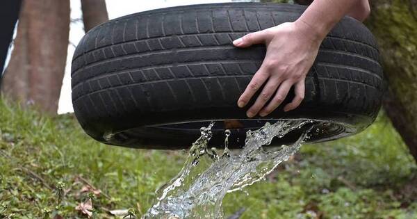 La Nación / Salud promueve eliminación de criaderos de mosquitos y barreras de protección en comunidades