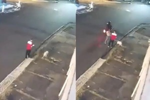 VIDEO: Perrito salvó a su dueño de ser asaltado y recibió un disparo en la pata - Megacadena — Últimas Noticias de Paraguay
