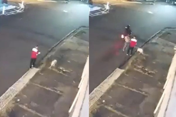 VIDEO: Perrito salvó a su dueño de ser asaltado y recibió un disparo en la pata - Megacadena — Últimas Noticias de Paraguay