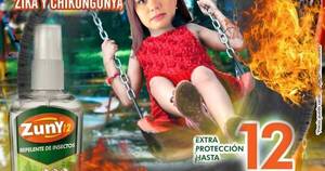 La Nación / Insólita propuesta de “quemar cubiertas”: ministra de la SEN generó ola de memes en redes