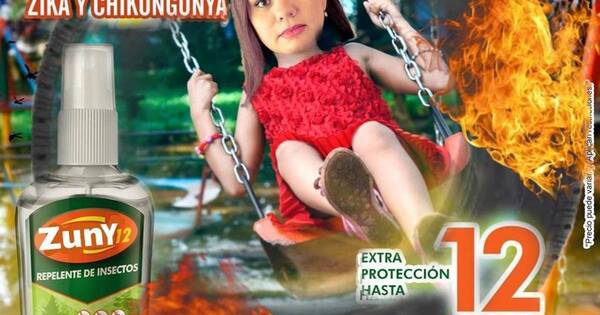 La Nación / Insólita propuesta de “quemar cubiertas”: ministra de la SEN generó ola de memes en redes
