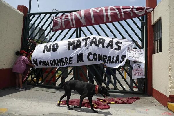 Policía desaloja campus universitario donde acampaban manifestantes en Lima - Mundo - ABC Color