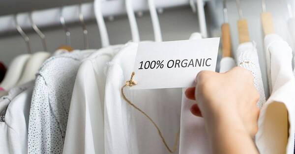 La Nación / Motivan a universitarios emprender en la industria de la moda sostenible