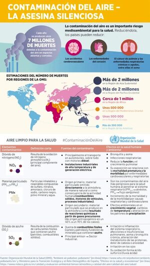 Calidad del aire en Paraguay: normativas, alcances y la apuesta al bienestar del país y el mundo - Económico - ABC Color
