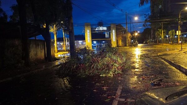 Fugaz pero intenso temporal deja varios daños en Ciudad del Este