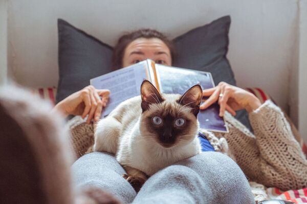 Problemas urinarios en los gatos: ¿por qué surgen y cómo prevenirlos?