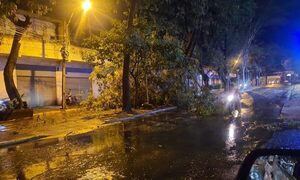Temporal dejó varios daños
