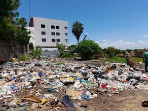 Asunción en zona roja por chikunguña - Nacionales - ABC Color