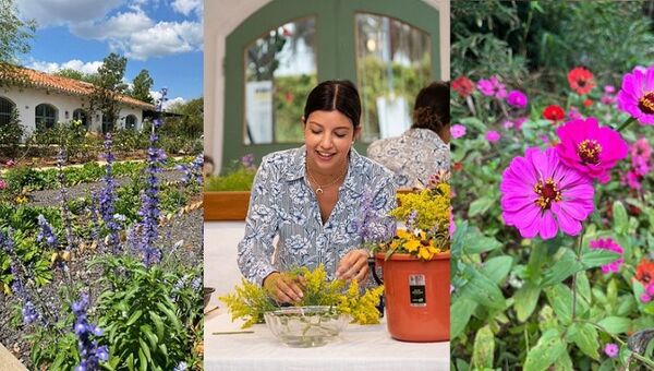 La Pilarica: la granja de flores en Surubi´i que cultiva variedades únicas en Paraguay