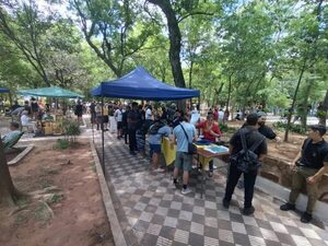 La creación del Club de Cannabis es una oportunidad para tener aceites medicinales - Nacionales - ABC Color