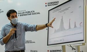 Salud advierte que estamos en epidemia de arbovirosis con predominio de Chikungunya – Diario TNPRESS