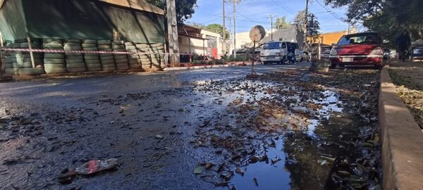 HEDIONDO ESPECTÁCULO EN CIUDAD DEL ESTE EN PLENO SIGLO XXI - La Voz del Norte