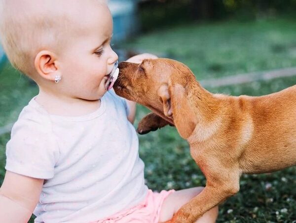 Bebés que conviven con mascotas tienden a no desarrollar alergias, afirma médico · Radio Monumental 1080 AM