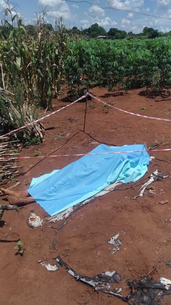 Reportan hallazgo de dos cuerpos en medio de plantación de mandioca - La Clave