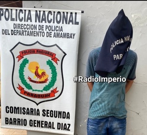 Brasileño fue detenido intentando robar un celular en una plaza céntrica - Radio Imperio