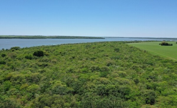 ONU verifica restauración del Bosque Atlántico encarado por Itaipu