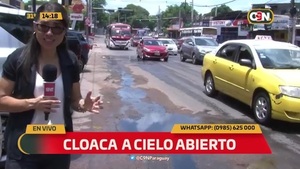 Cloaca a cielo abierto - C9N