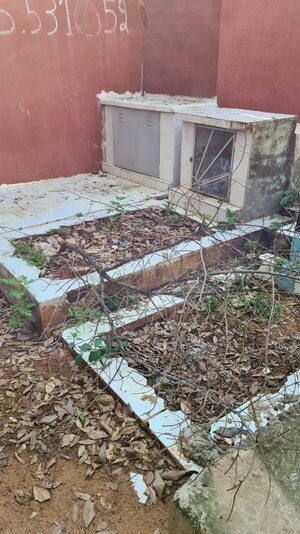 Cementerio del Este: un basural - Nacionales - ABC Color