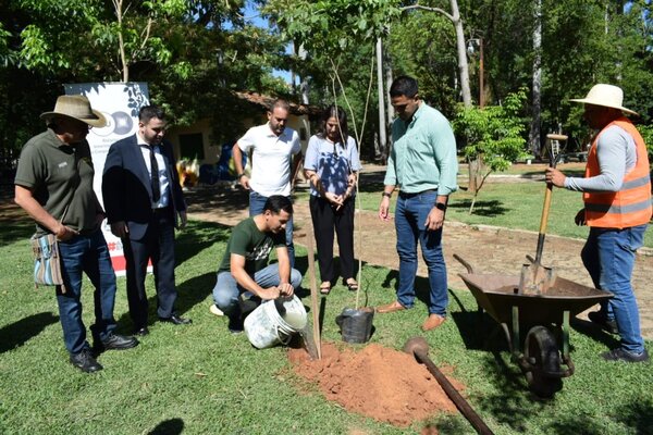 Intentan revitalizar espacios verdes con la plantación de árboles en el Parque Caballero